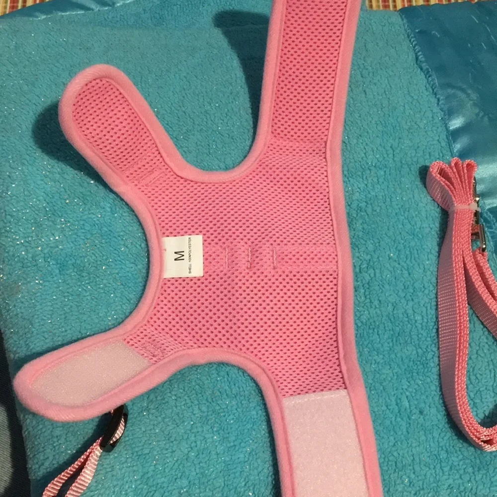 Strawberry pattern h-shaped cat harness